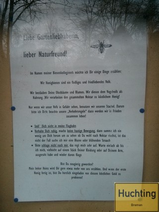 Honigbienen Honigbienen